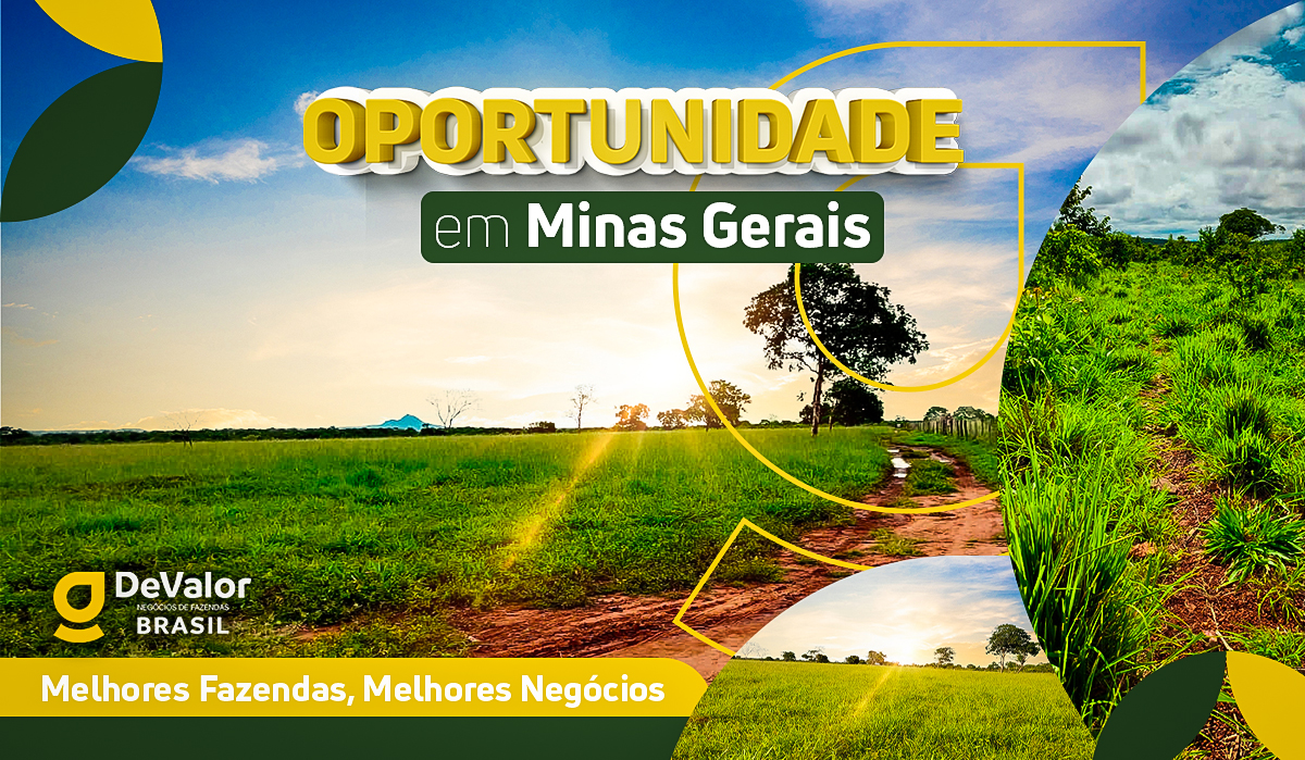 fazenda a venda em minas gerais