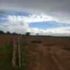 Fazenda Buritizeiro - MG - Image 3