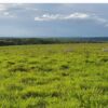 Fazenda em Felixlândia-MG - Image 7