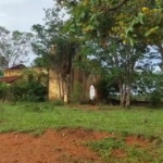 Oportunidade Fazenda à VENDA próxima a Curvelo - MG​ - Image 5