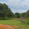 Oportunidade Fazenda à VENDA próxima a Curvelo - MG​ - Image 3