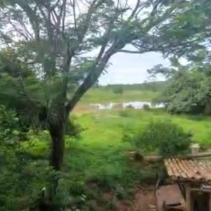 Oportunidade Fazenda à VENDA próxima a Curvelo - MG​