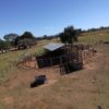 Fazenda Várzea da Palma - Image 3