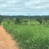 Fazenda Várzea da Palma - Image 11