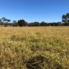 Fazenda Várzea da Palma - Image 5