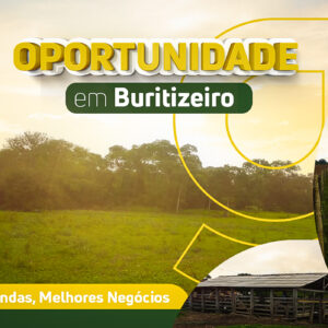 Fazenda Buritizeiro - MG