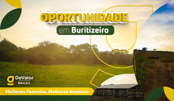 Fazenda Buritizeiro - MG