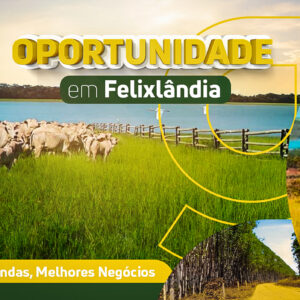 Fazenda em Felixlândia-MG