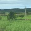 Fazenda Várzea da Palma - Image 2