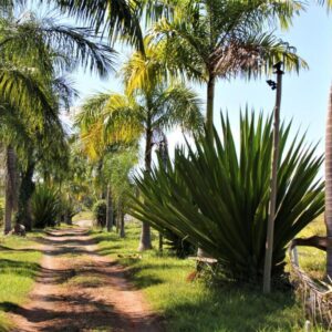 Sitio Mariana