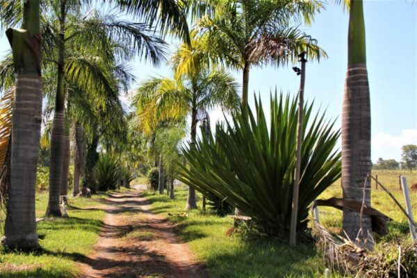 Sitio Mariana
