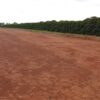 Fazenda em Araxá - MG - Image 2