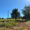 Fazenda em Felixlândia - MG - Image 2