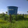 Fazenda em Buritizeiro - MG - Image 2