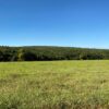 Fazenda em Felixlândia - MG - Image 3