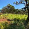 Fazenda em Felixlândia - MG - Image 5