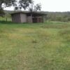 Fazenda Campeã - Image 5