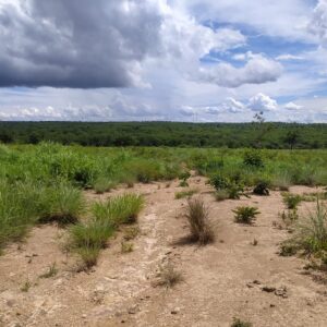 Fazenda em Buritizeiro - MG