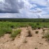 Fazenda em Buritizeiro - MG - Image 6