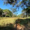 Fazenda em Felixlândia - MG - Image 8