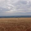 Fazenda em Araxá - MG - Image 9
