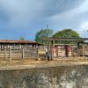 Fazenda Campeã - Image 9