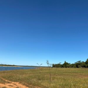 Fazenda em Felixlândia - MG
