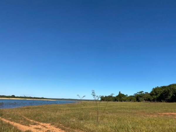 Fazenda em Felixlândia - MG