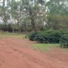 Fazenda em Araxá - MG - Image 10