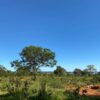 Fazenda em Felixlândia - MG - Image 12