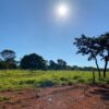 Fazenda em Felixlândia - MG - Image 13