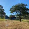 Fazenda em Felixlândia - MG - Image 15