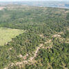 Fazenda em Morada Nova - MG - Image 4