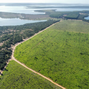 Fazenda em Morada Nova - MG