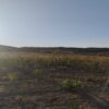 Fazenda em Tocantins - TO - Image 4