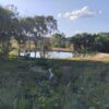 Fazenda em Tocantins - TO - Image 3