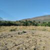 Fazenda em Tocantins - TO - Image 6