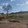 Fazenda em Tocantins - TO - Image 8