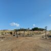 Fazenda em Tocantins - TO - Image 11