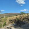 Fazenda em Tocantins - TO - Image 14