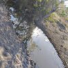 Fazenda em Tocantins - TO - Image 13
