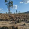 Fazenda em Tocantins - TO - Image 17