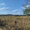 Fazenda em Tocantins - TO - Image 19