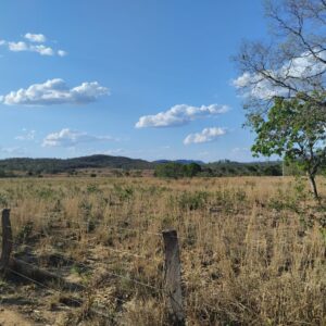 Fazenda em Tocantins - TO