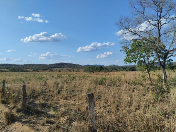 Fazenda em Tocantins - TO