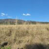 Fazenda em Tocantins - TO - Image 22