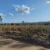 Fazenda em Tocantins - TO - Image 24