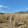Fazenda em Tocantins - TO - Image 23