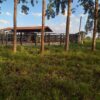 Fazenda em Curvelo - MG - Image 2