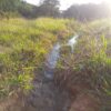 Fazenda em Curvelo - MG - Image 10